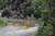 Image Whitewater Boating & Guide School 6/17-6/21/2024